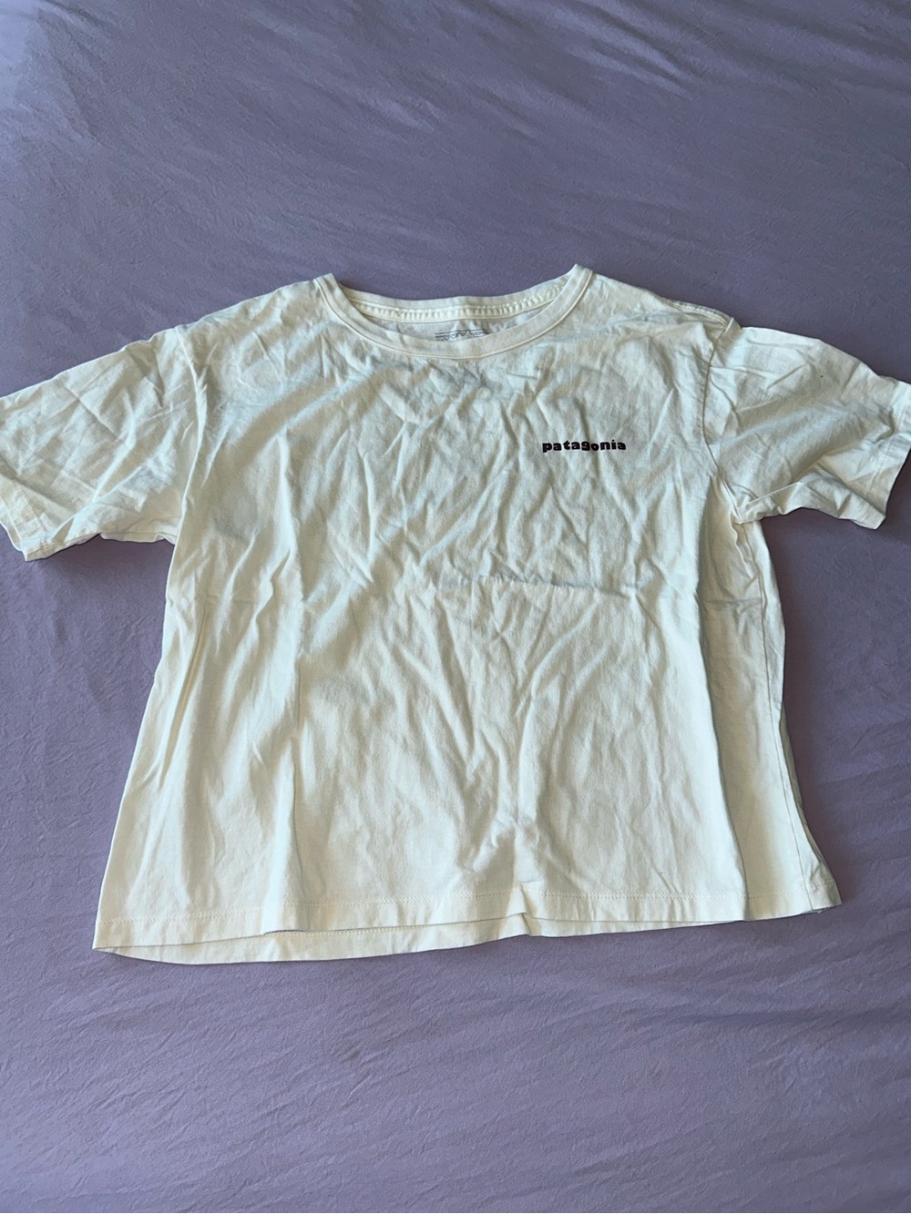 Patagonia Tee